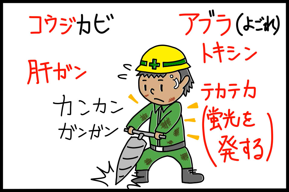 アスペルギルス属のコウジカビが産生するアフラトキシン　ゴロイラスト